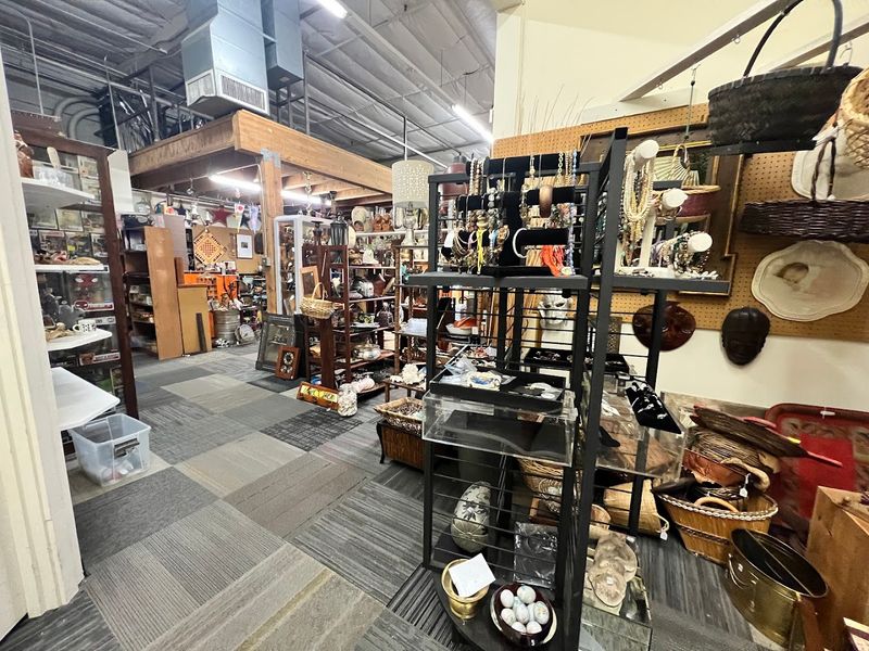 Collectibles, Curiosities, And The Unexpected