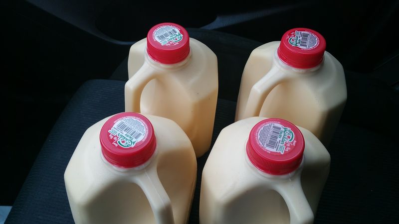 The Cream Rises For A Reason