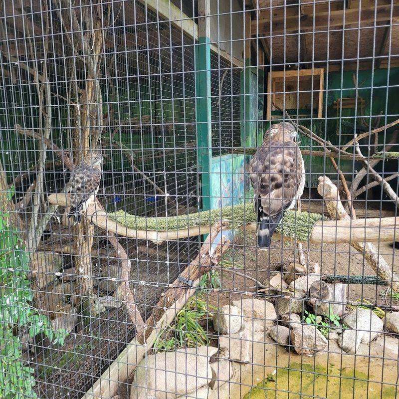 Howell Nature Center Wild Wonders Wildlife Park, Howell