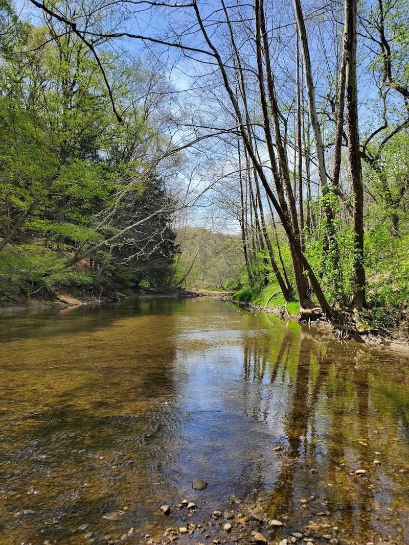 The Creek Itself Is the Heart of the Park