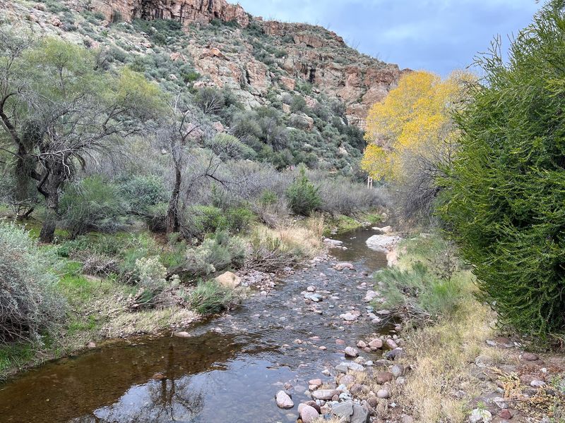 The Creek, the Pond, and a Hidden Oasis The Creek, the Pond, and a Hidden Oasis