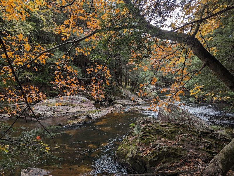 A Park That Is Much Larger Than It First Appears