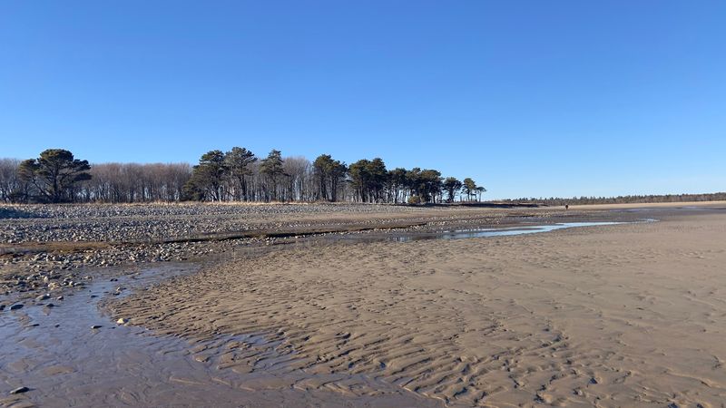 Salt Marshes Surround The Shoreline