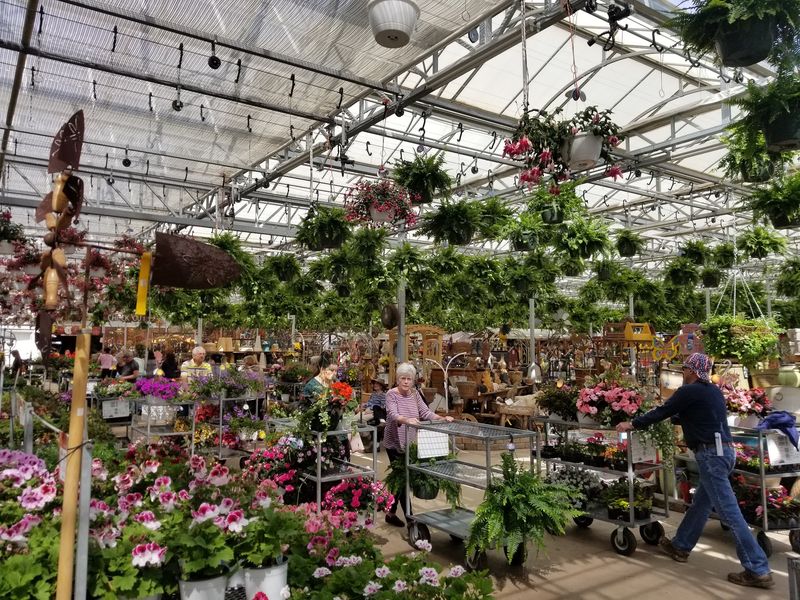 The Crowds, The Carts, And The Friendly Faces