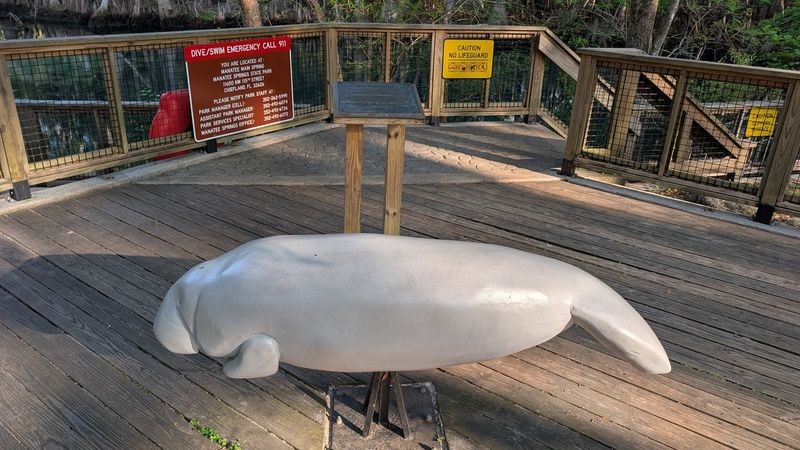 West Indian Manatee Sightings