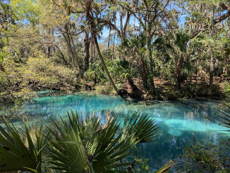 The Crystal-Clear Spring Pool