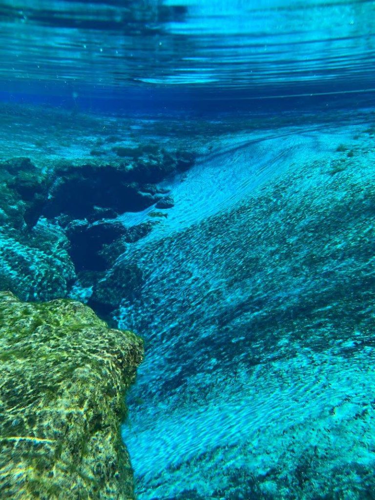 This Florida State Park Offers Spring Swimming That Feels Completely Unreal
