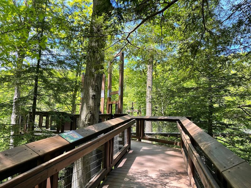 Hiking Trails That Take You Into the Real Woods