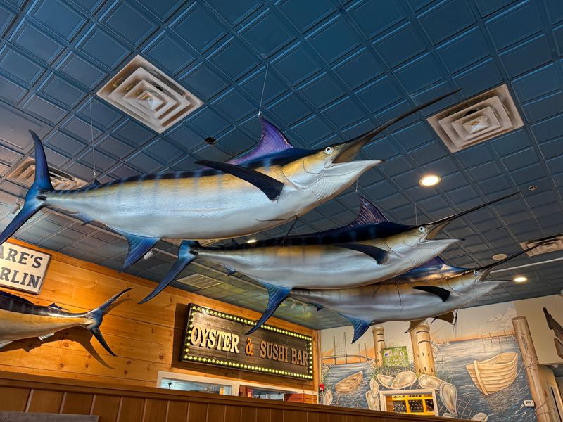 Big Fish Grill Rehoboth - Where Size Matters