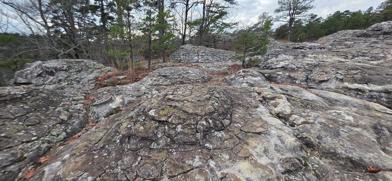Why These Turtle Shaped Formations Stand Out