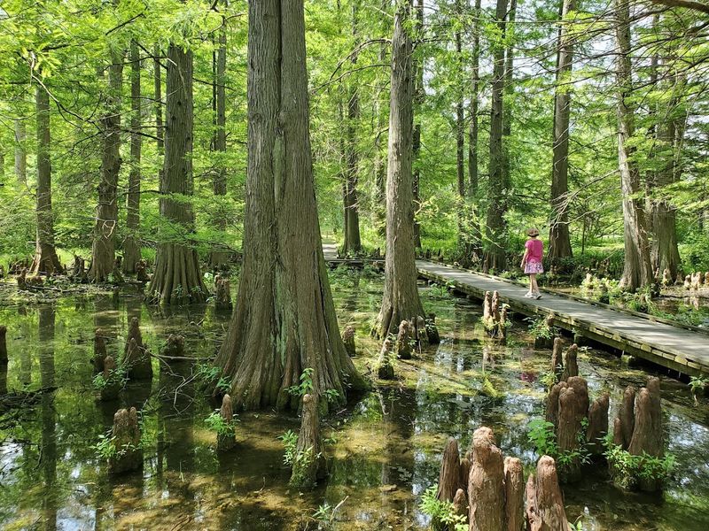 The Dawes Arboretum, Newark, Ohio