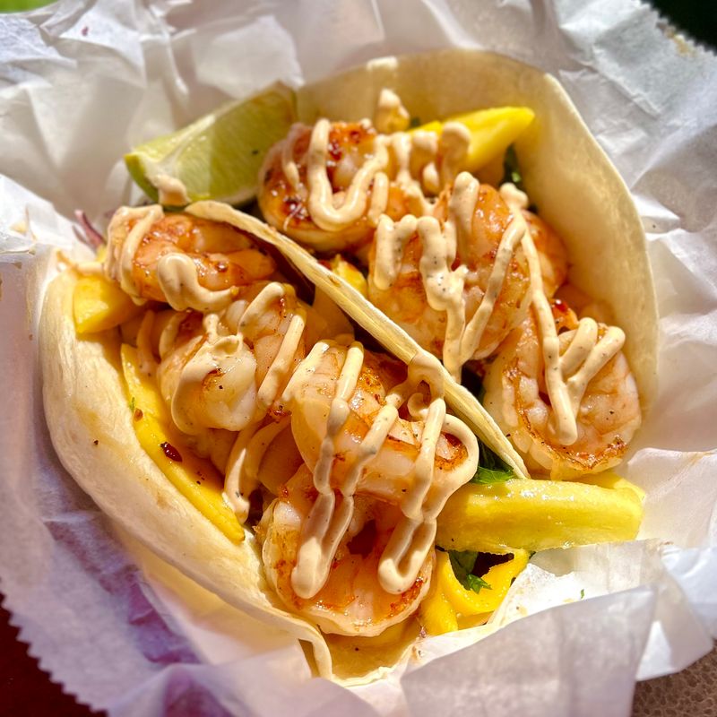 The Promise In Plain Words