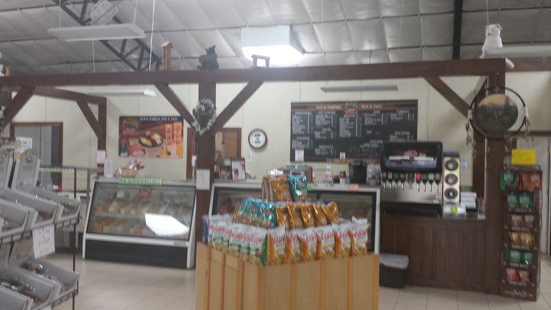 The Deli Sandwiches That Started the Buzz