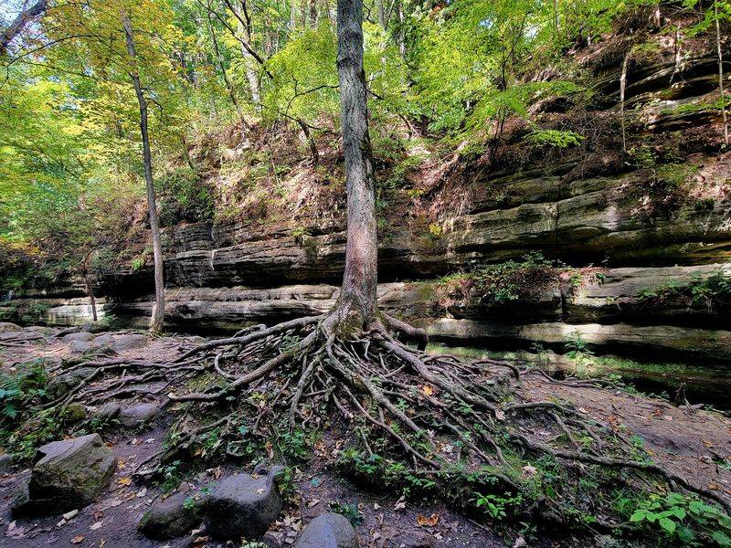 The Dells Create an Unexpected Illinois Landscape The Dells Create an Unexpected Illinois Landscape