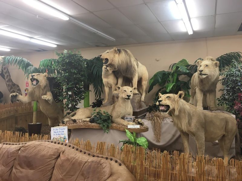 What Could Rise In Its Place And What That Means