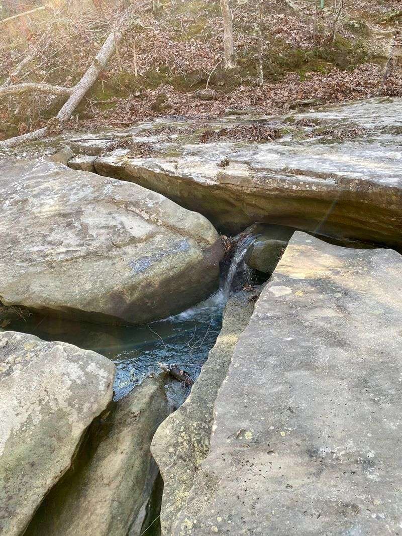 Reading the Rocks: Sandstone and Iron Swirls