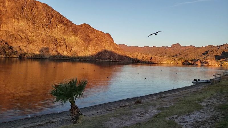 Fishing Along The Colorado River