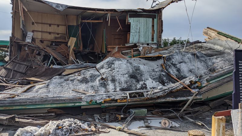 Florida Cracker Cattle Country Roots