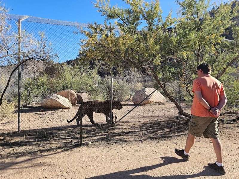 Why This Sanctuary Stands Out For Conservation