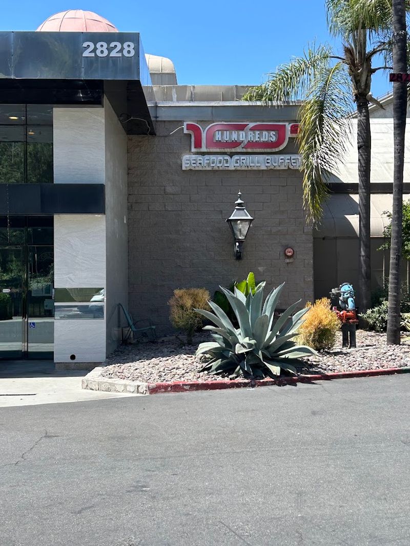 Why I Am Already Planning My Next Visit