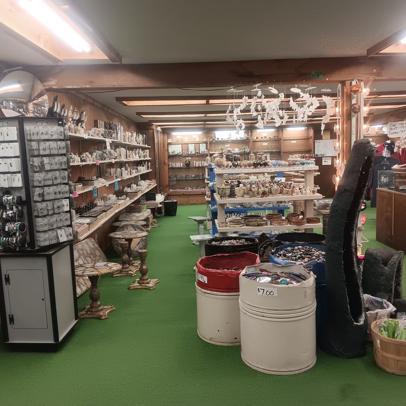 The Digging Field Where Every Scoop Feels Promising