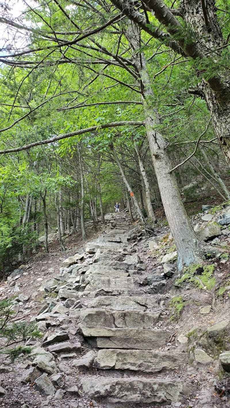 Practical Gear Tips That Make A Real Difference