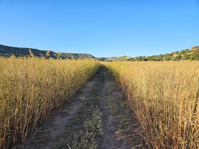 The Long Walk In: What 11.5 Miles Actually Feels Like