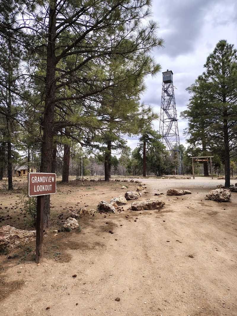 The Dirt Road That Keeps It Quiet