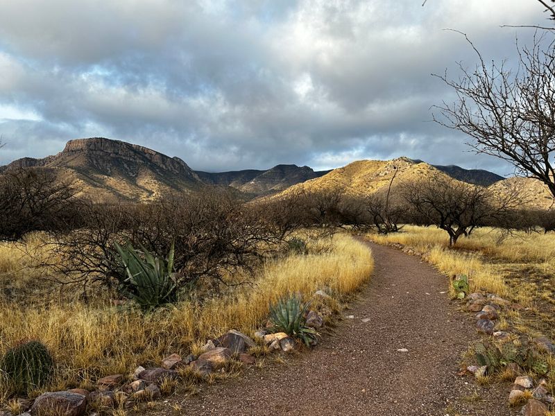 Hiking The Surrounding Foothills
