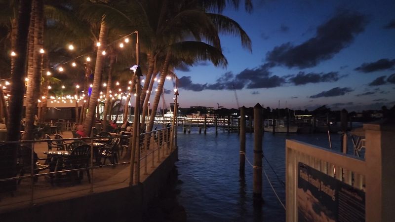 The Dock, Boats, And Wildlife Right Outside The Dock, Boats, And Wildlife Right Outside