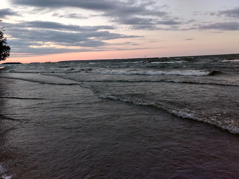 The Dog Beach That Makes Four-Legged Campers Very Happy The Dog Beach That Makes Four-Legged Campers Very Happy