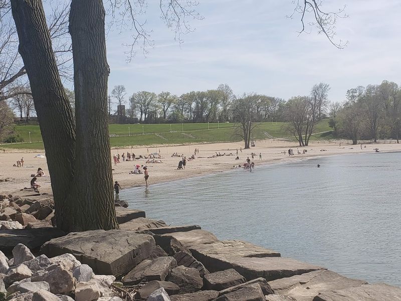 The Dog Beach That Steals The Show The Dog Beach That Steals The Show