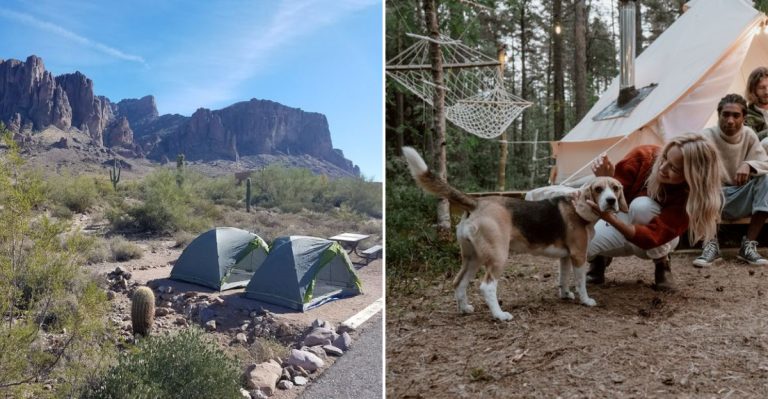 The Dog-Friendly Campground Every Arizona Pet Parent Needs To Know About