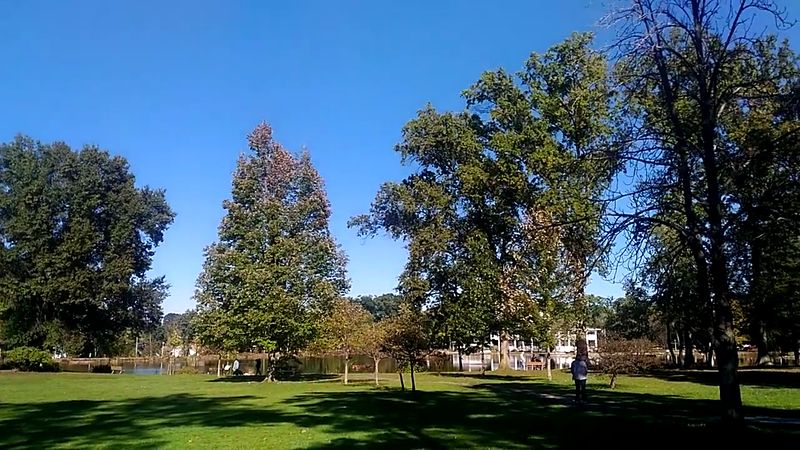 The Dog Park and Pet-Friendly Trails