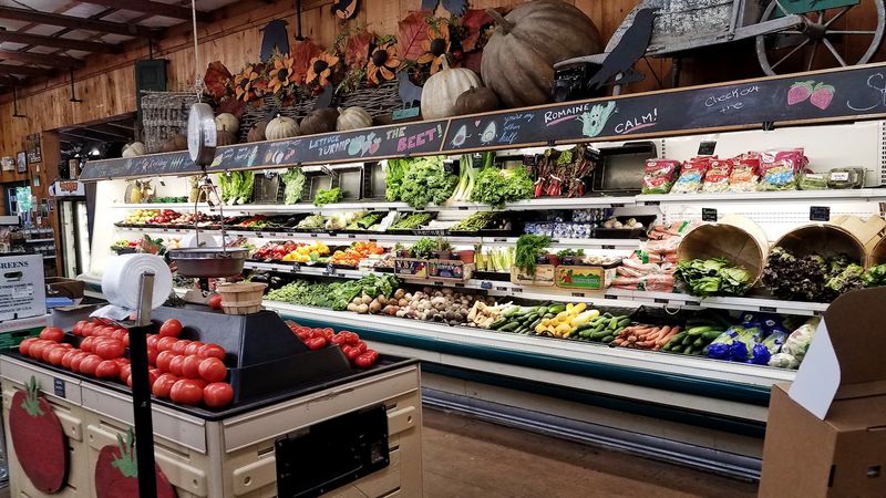 300 Acres Of Pure Pennsylvania Farm Life