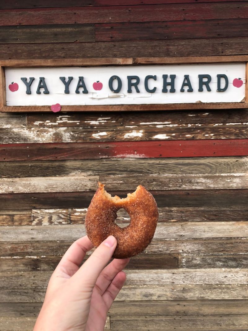 The Donuts Are The Small Round Reason People Talk