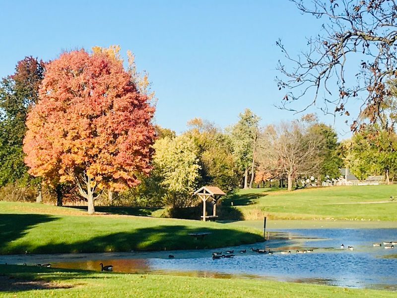 Arts And Culture On Campus And Beyond