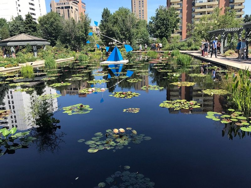 The Film Festival Side: Independent Cinema With Real Cultural Weight