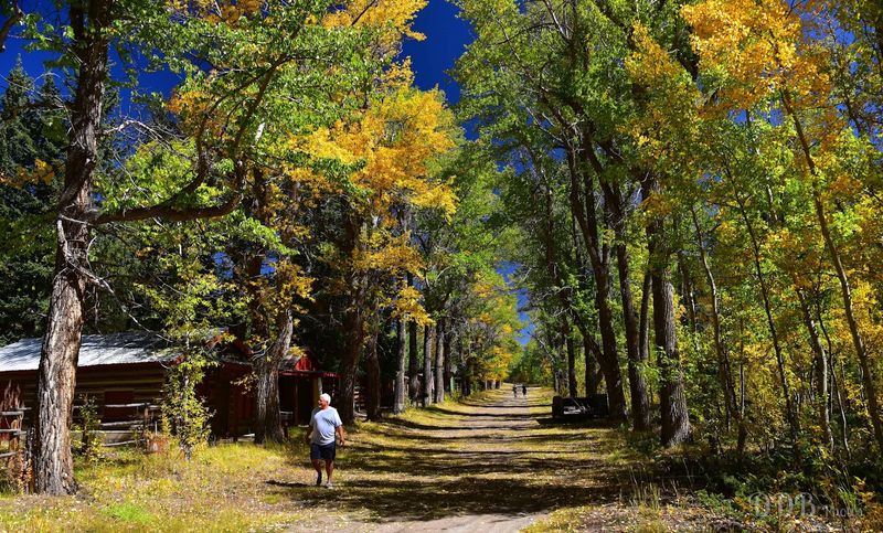 The Drive Along County Road 390 Is Half The Adventure