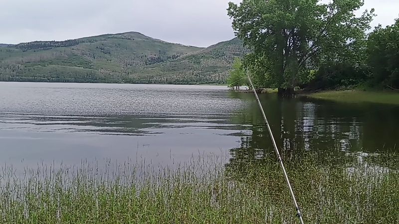 Fishing Here Is the Real Draw, and the Fish Know It