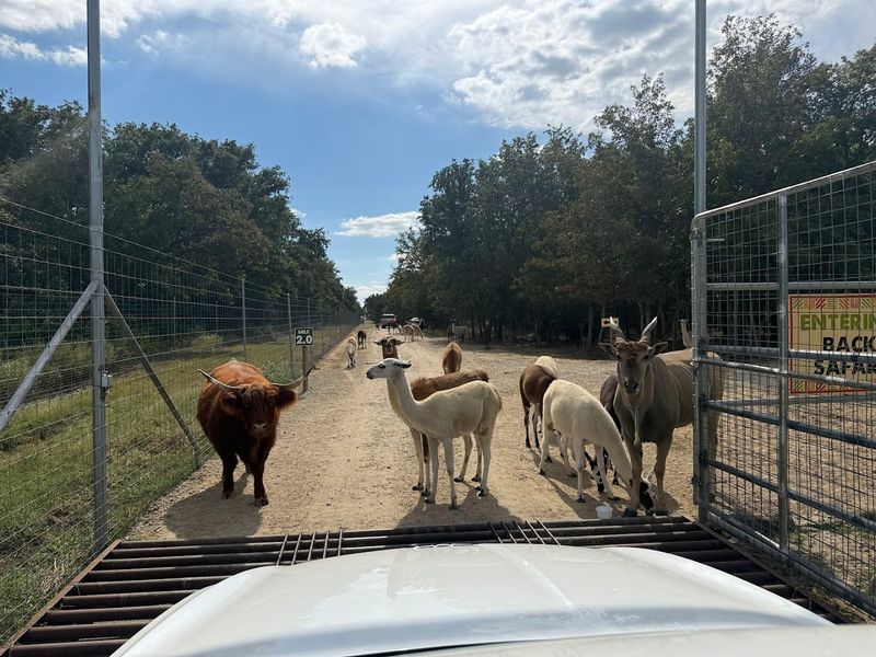 Where Exactly This Safari Paradise Lives