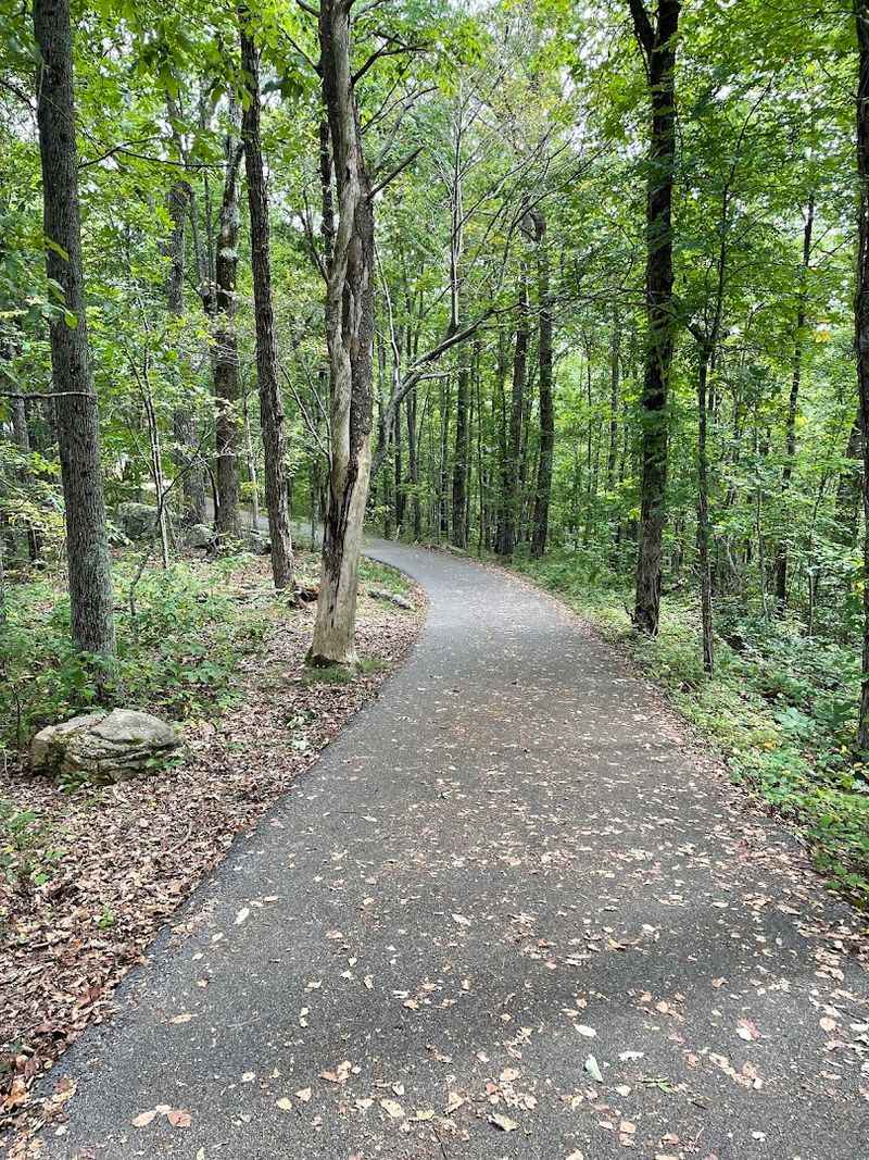 The Paved Trail Makes The Climb Surprisingly Accessible