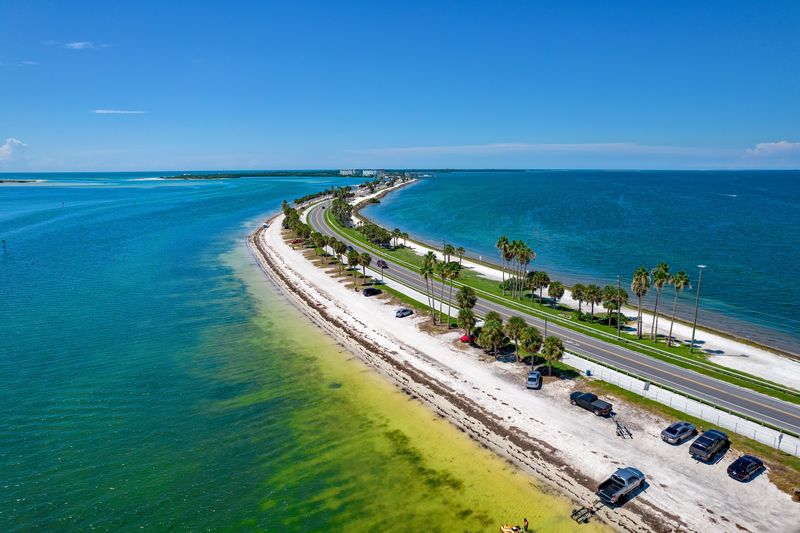 The Dunedin Causeway Is More Than Just A Road To The Beach The Dunedin Causeway Is More Than Just A Road To The Beach