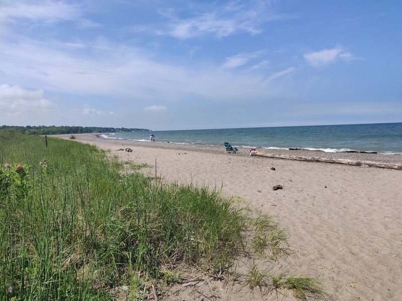 Picnicking With a Lake View