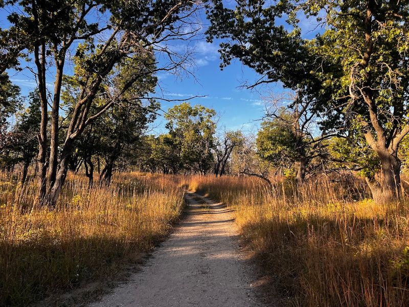 The Hiking Trails For A Full-On Adventure