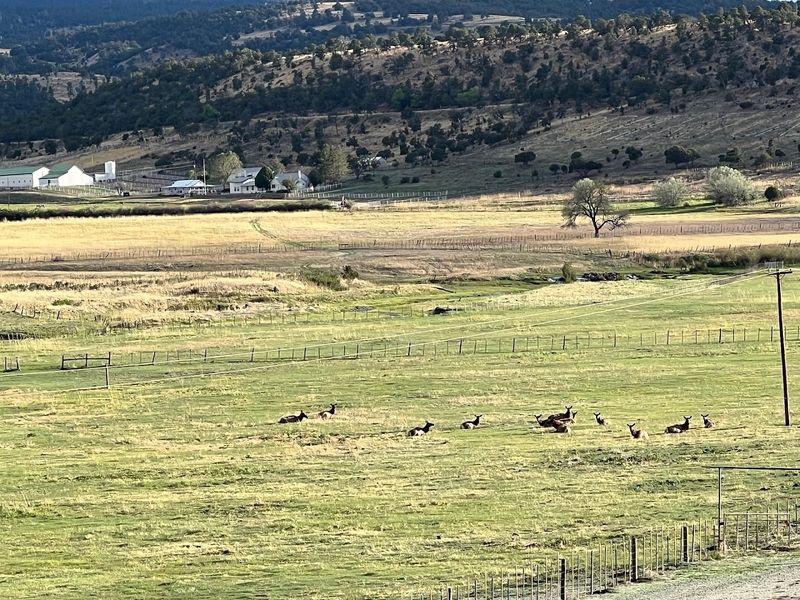 The Eagar Townsite Historic District