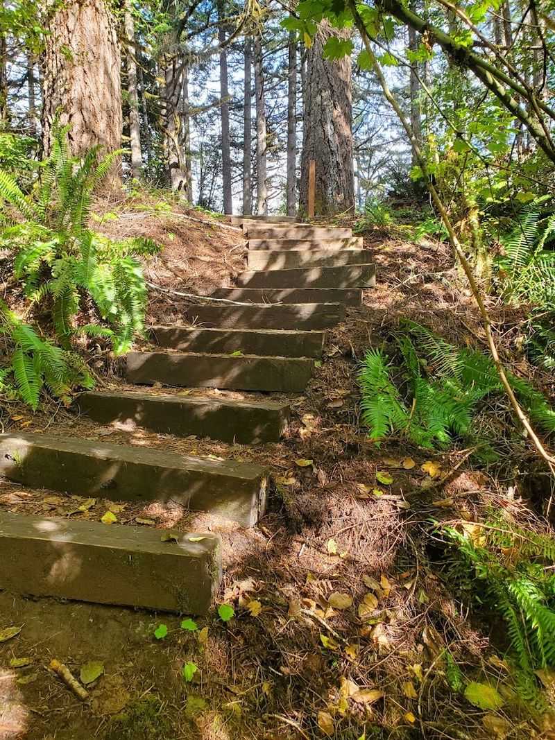 The Easiest Trail That Still Feels Like An Adventure The Easiest Trail That Still Feels Like An Adventure