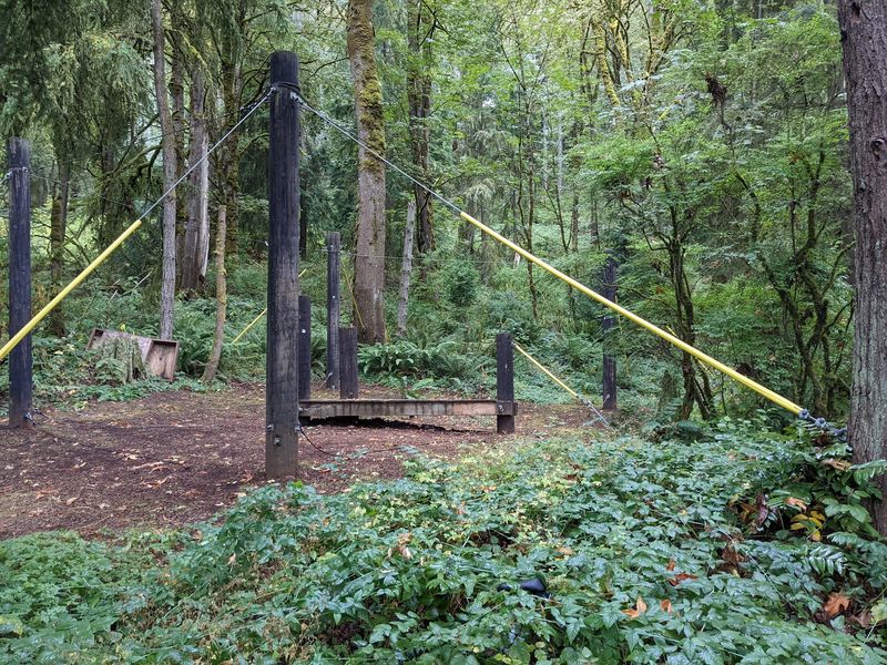 The Eastgate Park Forest Setting The Eastgate Park Forest Setting