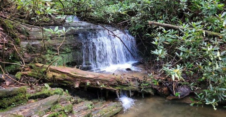 The Easy And Beautiful Waterfall Hike In South Carolina You’ll Want To Take Again And Again
