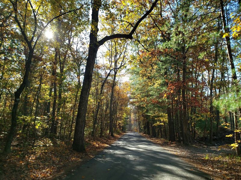 The Ecological Importance Of Snakes At Kings Gap